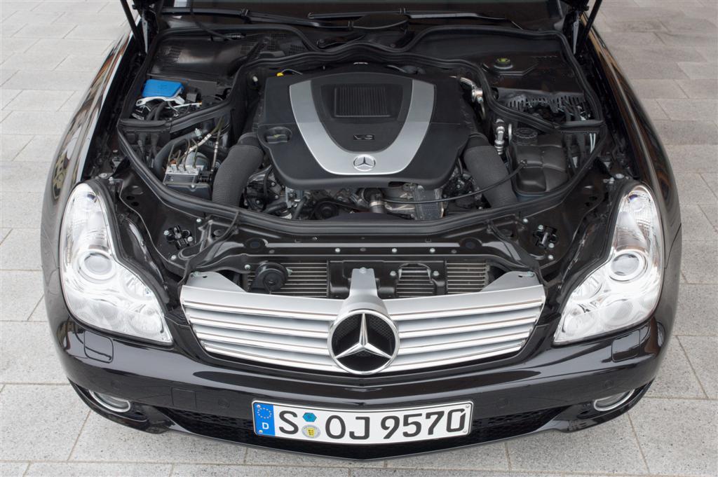 500big_102037906c1879_65 (Large)