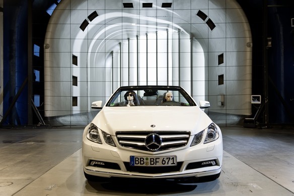 751475_1367982_6048_4032_09C1202_034