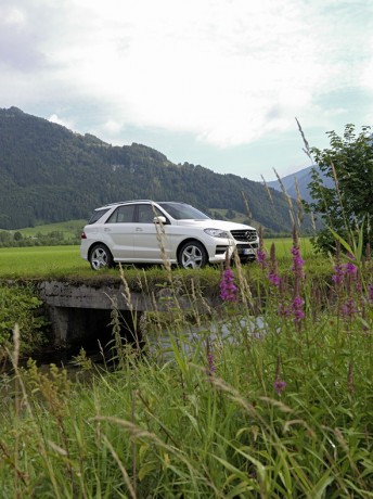 ML 250 BLUETEC (W166) 2011