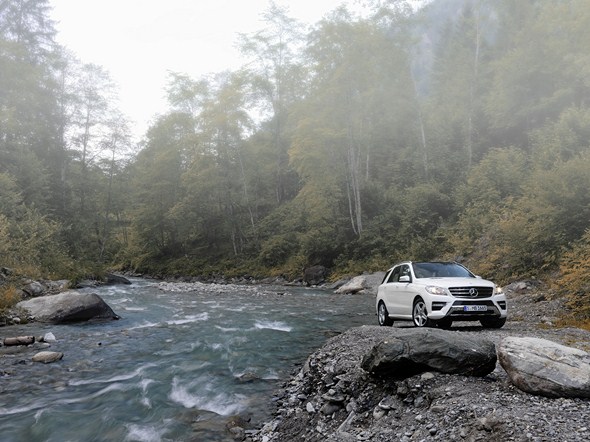 ML 250 BLUETEC (W166) 2011