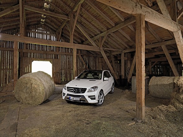 ML 250 BLUETEC (W166) 2011