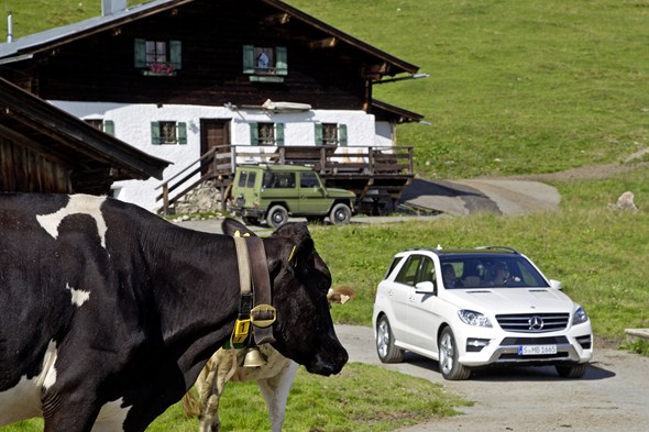 ML 250 BLUETEC (W166) 2011